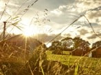 Meadow Yurts Meadow Yurts